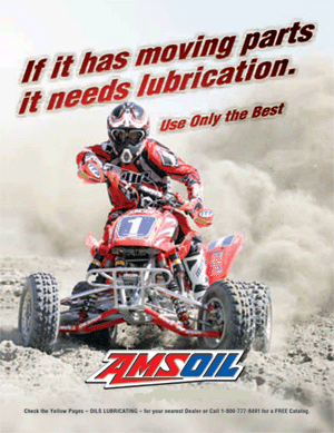 Amsoil is directed to the performance and economy minded customer. AMSOIL is regarded as the best choice when available.
